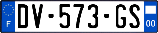 DV-573-GS