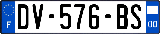 DV-576-BS