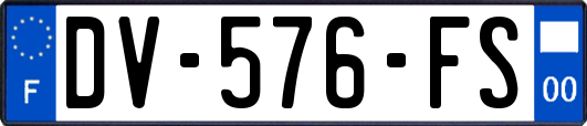 DV-576-FS