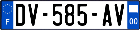 DV-585-AV