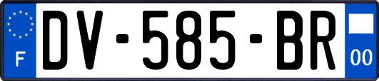 DV-585-BR