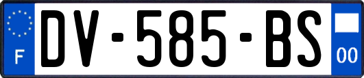 DV-585-BS