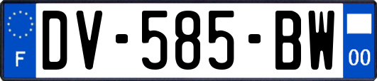 DV-585-BW