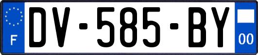 DV-585-BY