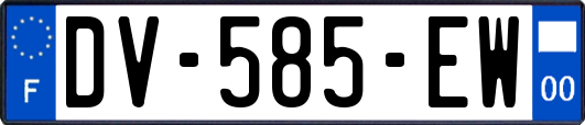 DV-585-EW