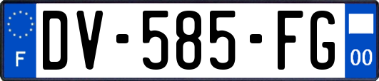 DV-585-FG