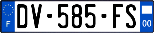 DV-585-FS