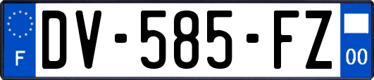 DV-585-FZ