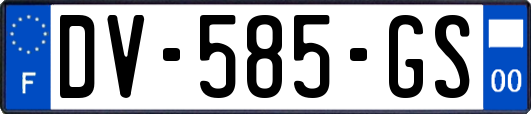 DV-585-GS