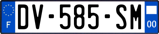 DV-585-SM