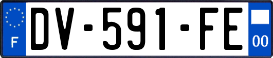 DV-591-FE