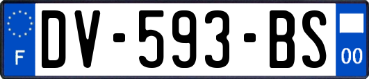 DV-593-BS