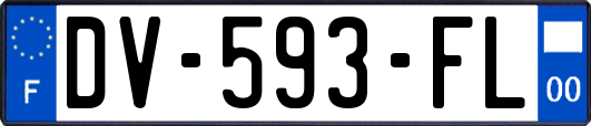 DV-593-FL