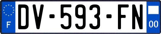 DV-593-FN