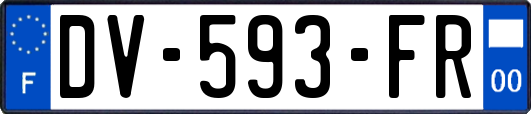 DV-593-FR