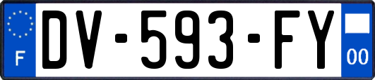 DV-593-FY