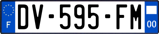 DV-595-FM