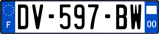 DV-597-BW