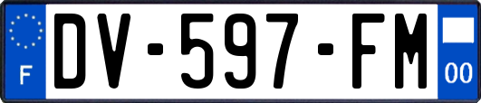 DV-597-FM