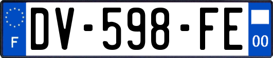 DV-598-FE