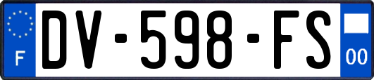 DV-598-FS