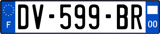 DV-599-BR