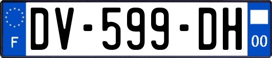 DV-599-DH