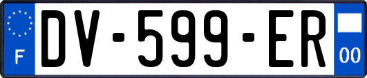 DV-599-ER