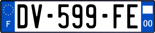 DV-599-FE