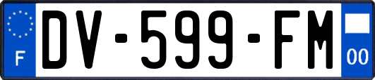 DV-599-FM