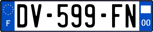 DV-599-FN