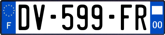 DV-599-FR