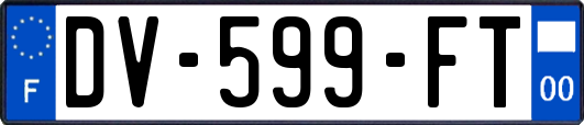 DV-599-FT