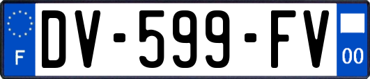 DV-599-FV