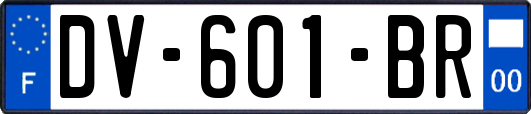 DV-601-BR