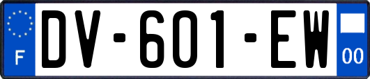 DV-601-EW