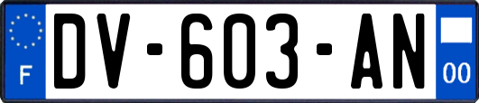 DV-603-AN