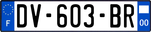 DV-603-BR