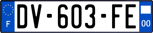 DV-603-FE