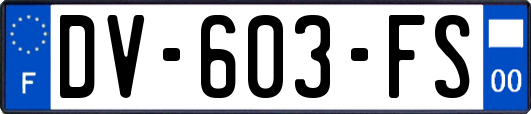 DV-603-FS