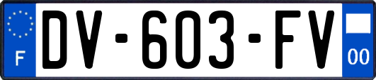 DV-603-FV