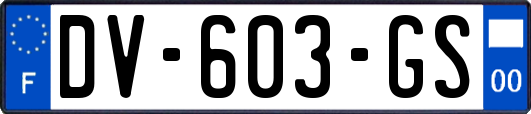 DV-603-GS