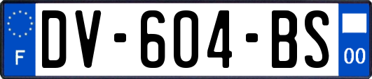 DV-604-BS