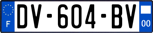 DV-604-BV