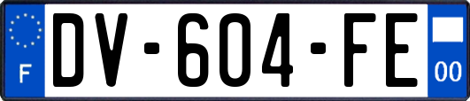 DV-604-FE