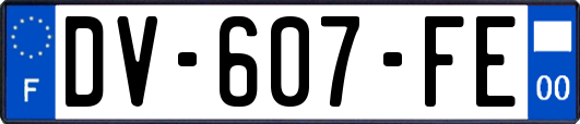 DV-607-FE