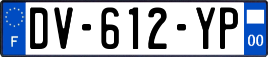 DV-612-YP