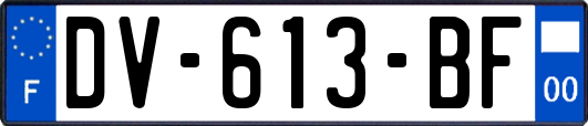 DV-613-BF