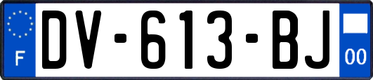 DV-613-BJ