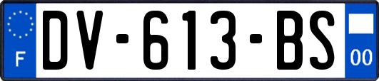 DV-613-BS